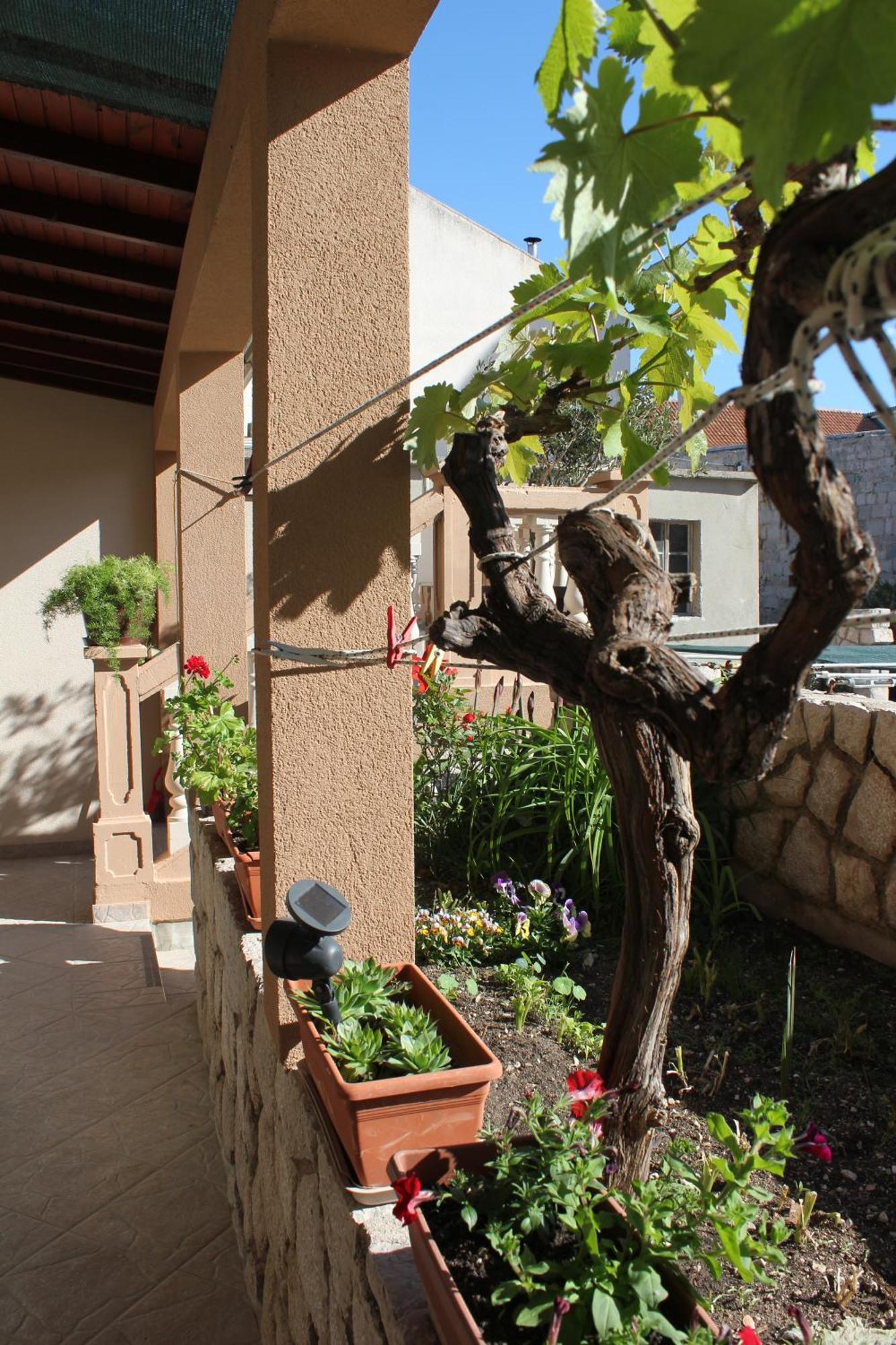 Terrace Beba - Pag