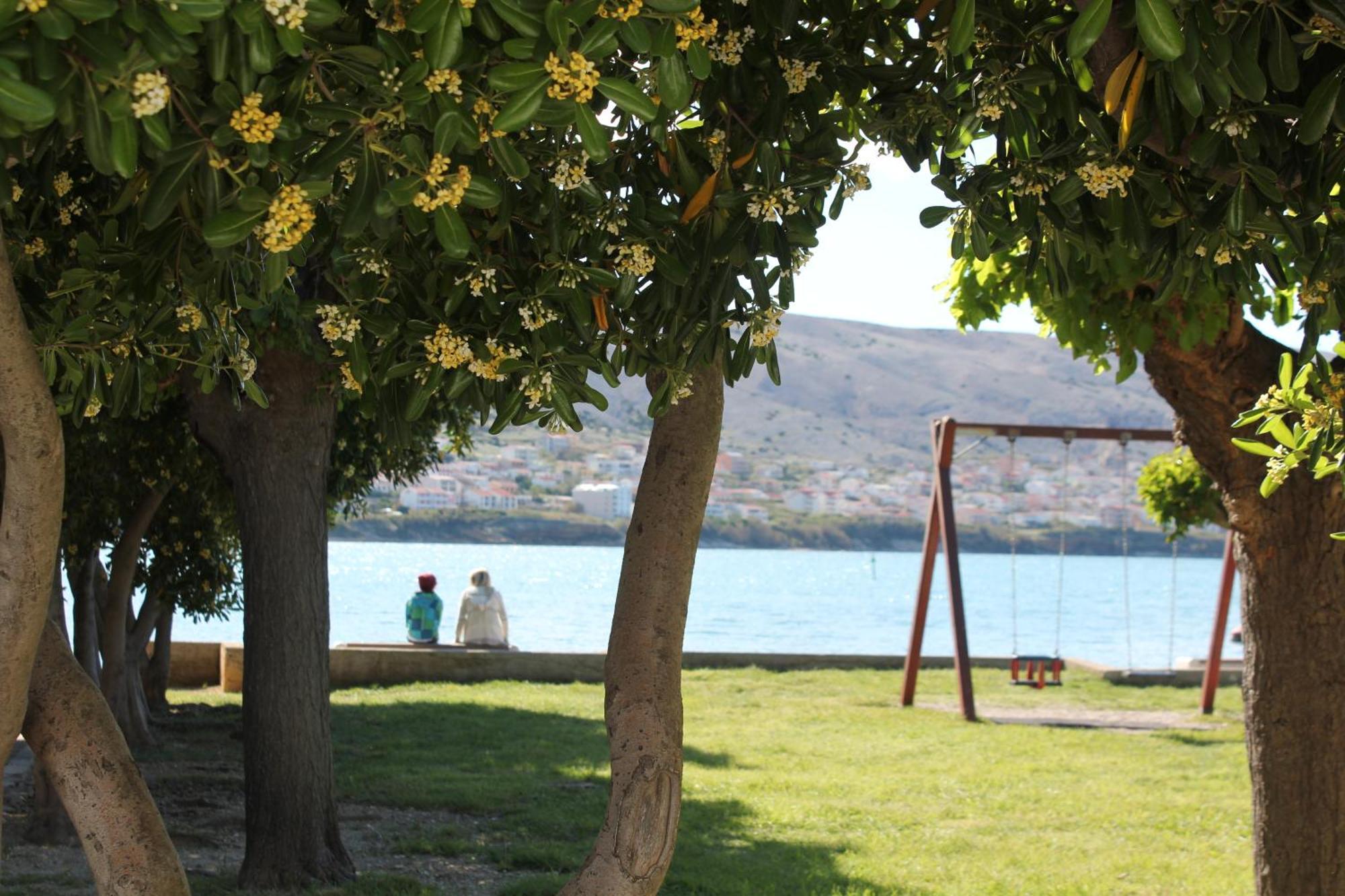 Apartman Terrace Beba - Pag *